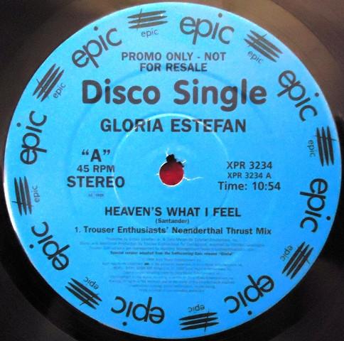 Gloria Estefan - Heaven's What I Feel